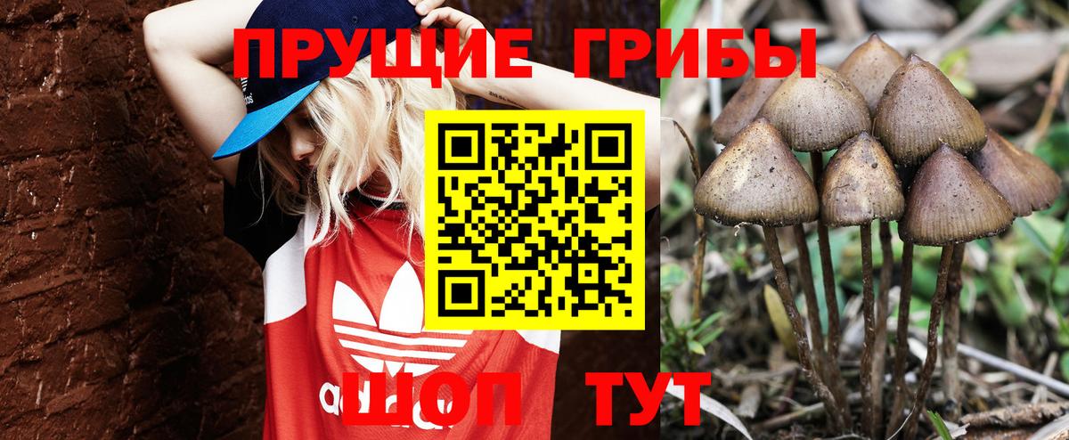 цены   Галлюциногенные грибы Magic Shrooms  Вход с VPN  Выкса 